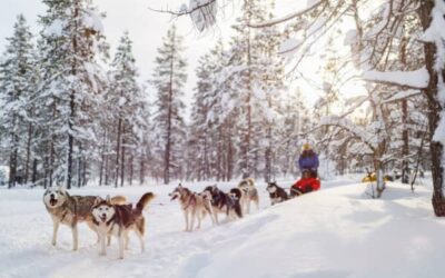 Escapada Ártica: Aventura en Tromsø con Alojamiento en Camp Tamok